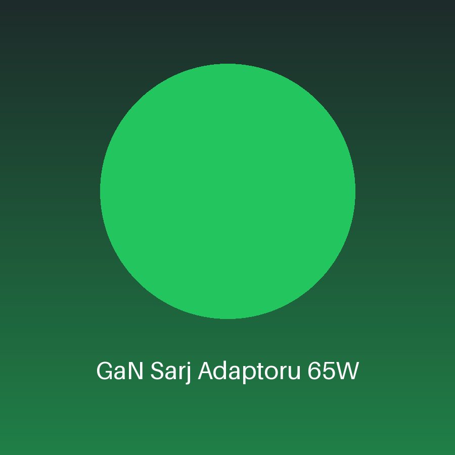GaN Şarj Adaptörü 65W