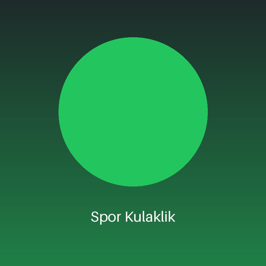 Spor Kulaklık