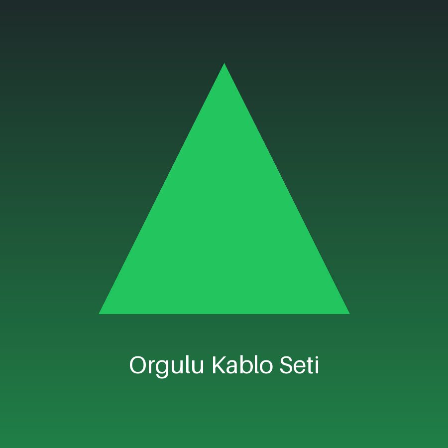 Örgülü Kablo Seti