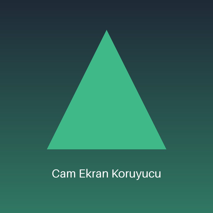 Cam Ekran Koruyucu